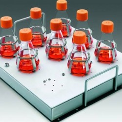 20 мкл наконечники без фильтра Gluvex в штативе, стерильные, апирогенные, не содержат ДНКазы и РНКазы, 96×50 шт./уп.